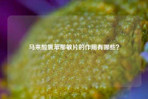 马来酸氯苯那敏片的作用有哪些？