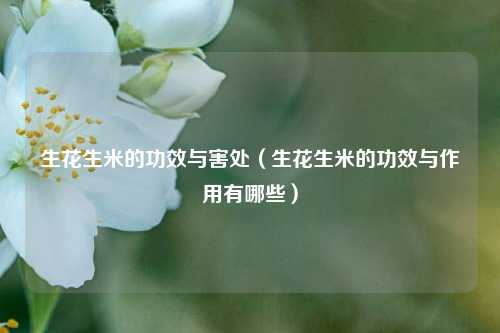 生花生米的功效与害处(生花生米的功效与作用有哪些)