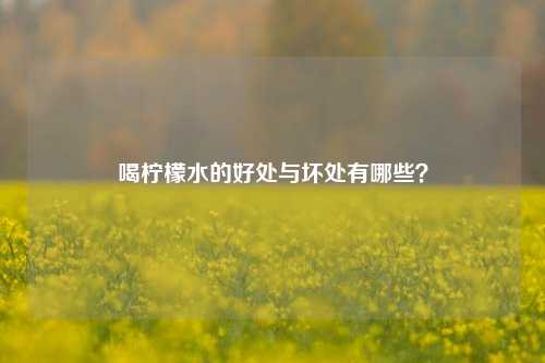喝柠檬水的好处与坏处有哪些？