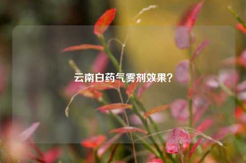 云南白药气雾剂效果?