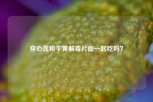 穿心莲和牛黄解毒片能一起吃吗?