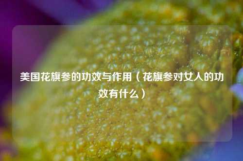 美国花旗参的功效与作用（花旗参对女人的功效有什么）
