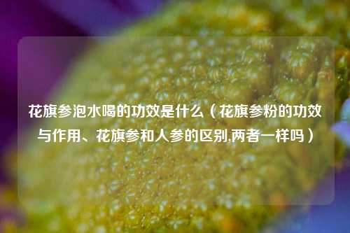 花旗参泡水喝的功效是什么(花旗参粉的功效与作用、花旗参和人参的区别,两者一样吗)