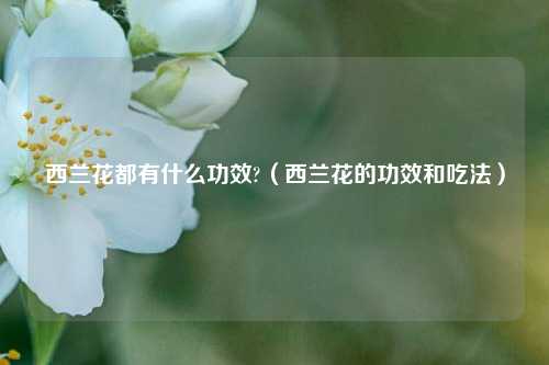 西兰花都有什么功效?（西兰花的功效和吃法）