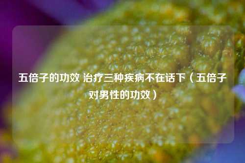 五倍子的功效 治疗三种疾病不在话下（五倍子对男性的功效）
