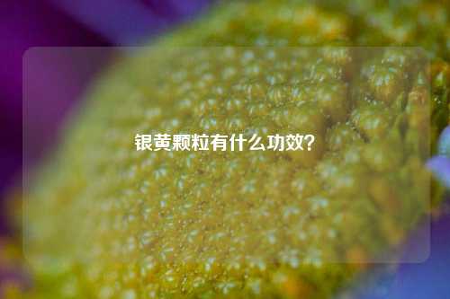 银黄颗粒有什么功效?