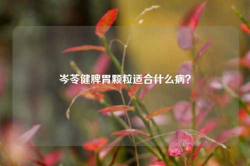 岑苓健脾胃颗粒适合什么病？