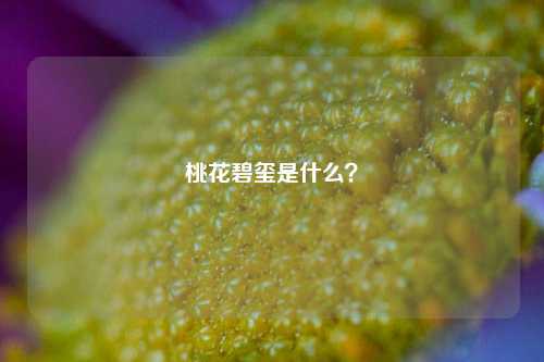 桃花碧玺是什么？