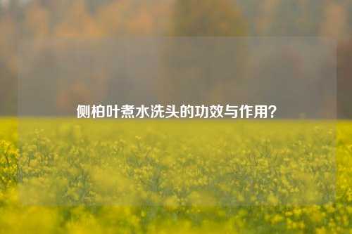 侧柏叶煮水洗头的功效与作用？
