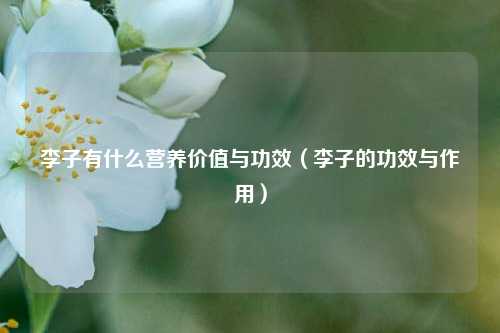 李子有什么营养价值与功效（李子的功效与作用）