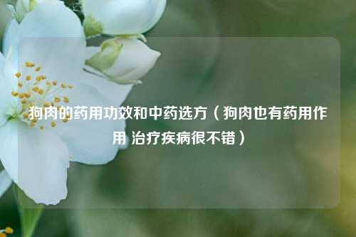 狗肉的药用功效和中药选方（狗肉也有药用作用 治疗疾病很不错）