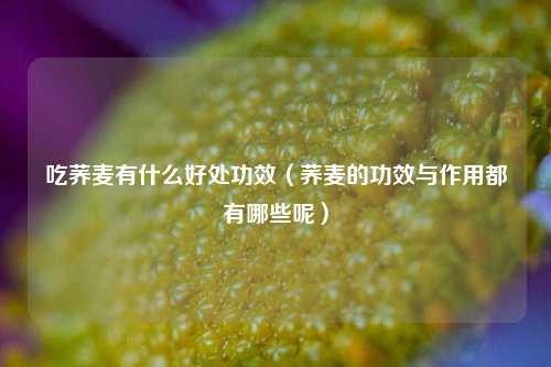 吃荞麦有什么好处功效（荞麦的功效与作用都有哪些呢）