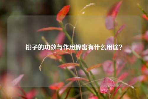 桃子的功效与作用蜂蜜有什么用途？