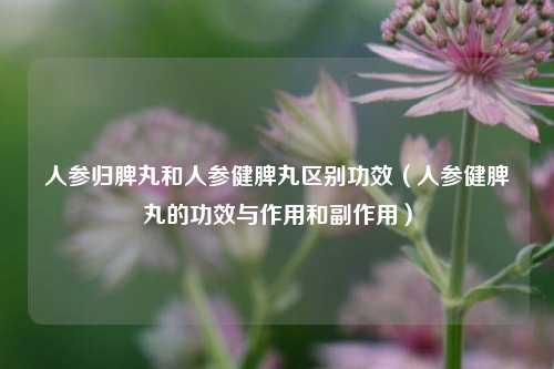 人参归脾丸和人参健脾丸区别功效（人参健脾丸的功效与作用和副作用）