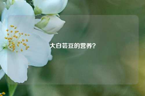 大白芸豆的营养？