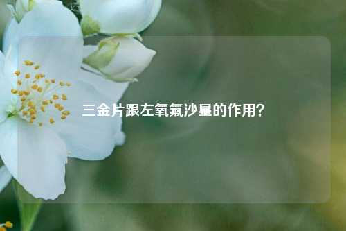 三金片跟左氧氟沙星的作用？