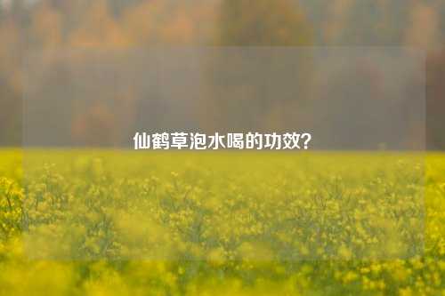 仙鹤草泡水喝的功效?