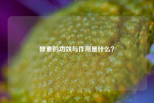 酵素的功效与作用是什么？
