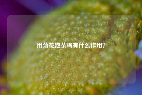 用菊花泡茶喝有什么作用？